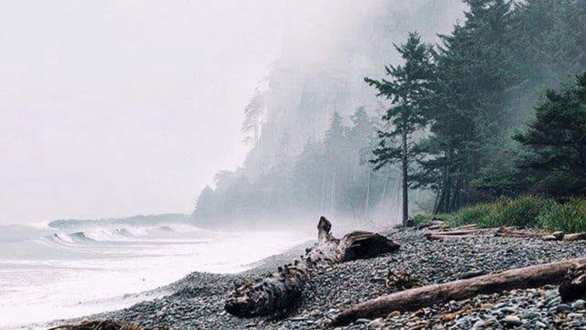 Misty rocky beach